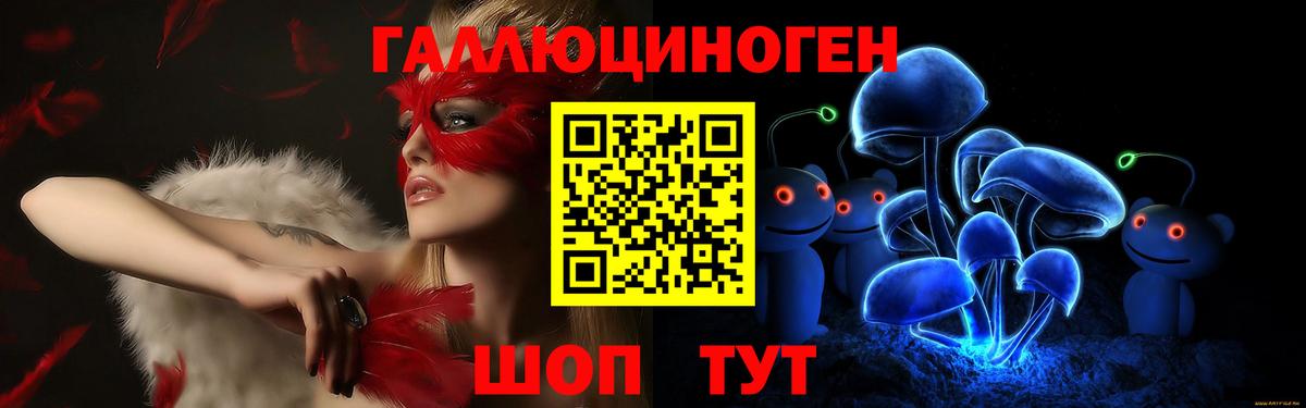 Псилоцибиновые грибы ЛСД Михайловка